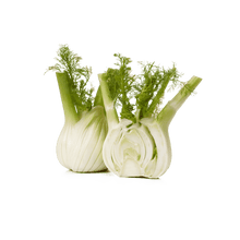 Load image into Gallery viewer, Fennel Bulb
